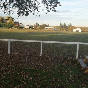 Meet your Posher, Adrian